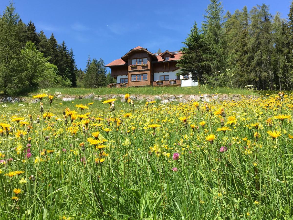 Landhaus Birgbichler - Apartments In Ramsau Am Dachstein - Inklusive Sommercard! Exterior photo